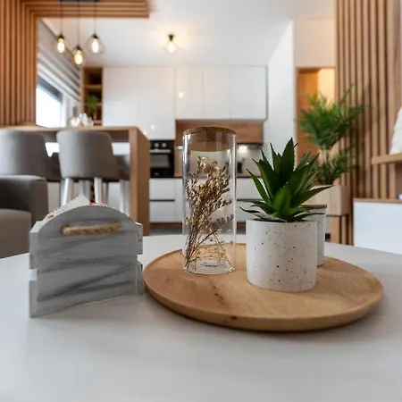 Borov Jezic Apartment